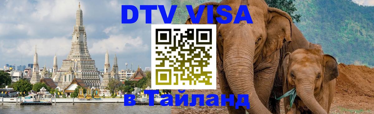 Сколько стоит DTV виза — актуальные цены, оформление даже без документов - 04.10.2025 